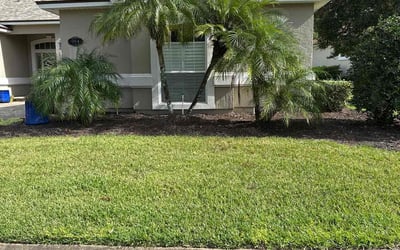 Photo of Kealiela H.'s yard after getting lawn care in Northridge, CA