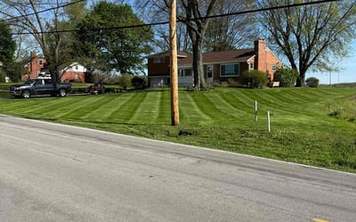 Photo of Stephanie T.'s yard after getting lawn care in Louisville, OH