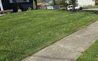 Photo of Courtney J.'s yard after getting lawn care in Slippery Rock, PA