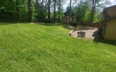Photo of Jeff B.'s yard after getting lawn care in Fletcher, NC