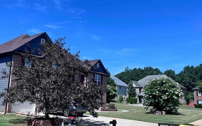 Photo of Nicole F.'s yard after getting lawn care in Bethlehem, PA