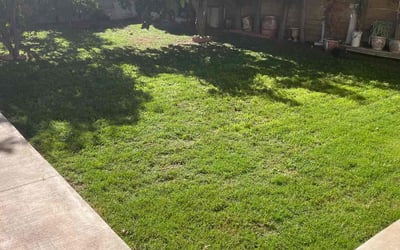 Photo of Patrice O.'s yard after getting lawn care in El Monte, CA