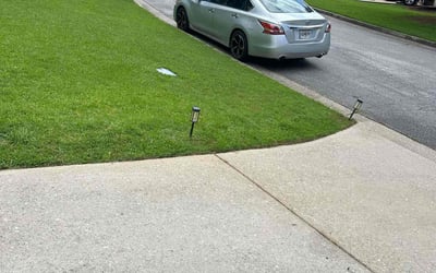 Photo of Brenda M.'s yard after getting lawn care in Mays Landing, NJ