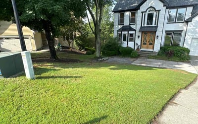Photo of Meachelle K.'s yard after getting lawn care in Lutz, FL