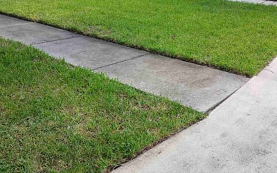 Photo of Deborah M.'s yard after getting lawn care in Jeannette, PA