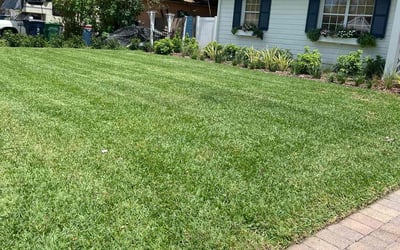 Photo of Rae R.'s yard after getting lawn care in Pittsburgh, PA