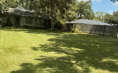 Photo of Patrick H.'s yard after getting lawn care in Texarkana, TX
