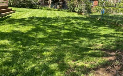 Photo of Barbara P.'s yard after getting lawn care in Mission, KS