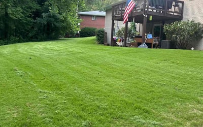 Photo of Jonathan P.'s yard after getting lawn care in Waynesville, NC