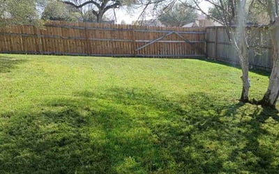 Photo of Matthew N.'s yard after getting lawn care in Henderson, NV