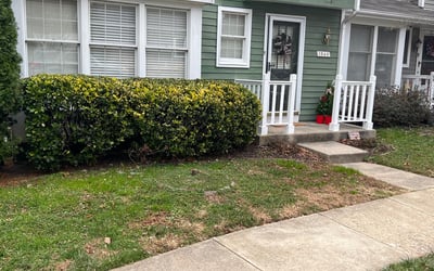 Photo of Patrick M.'s yard after getting tree care in Edwardsville, IL