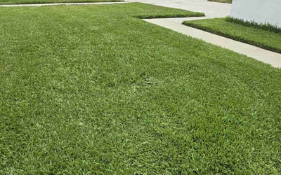 Photo of Noliea B.'s yard after getting lawn care in Redford, MI
