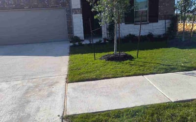 Photo of Kathryn Y.'s yard after getting lawn care in Dublin, CA