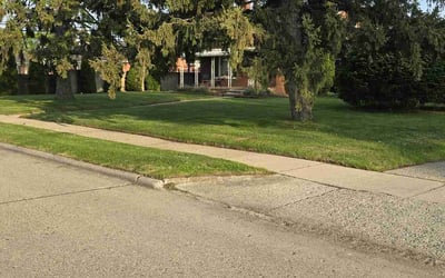 Photo of Monica B.'s yard after getting lawn care in Bedford, NH