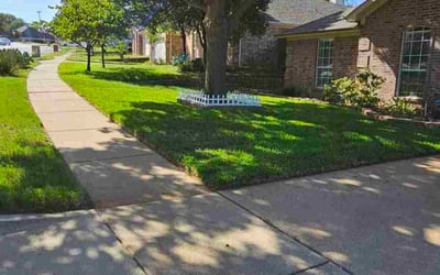 Photo of Limin C.'s yard after getting lawn care in Apex, NC