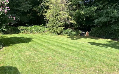 Photo of James C.'s yard after getting lawn care in East Longmeadow, MA