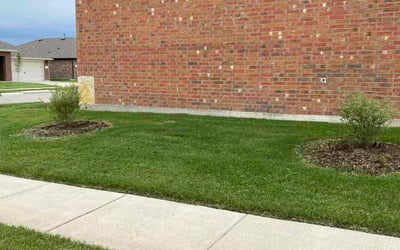 Photo of Carmon J.'s yard after getting lawn care in Eau Claire, WI