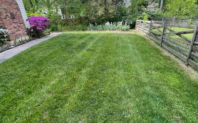 Photo of Brittany M.'s yard after getting lawn care in Sterling, VA