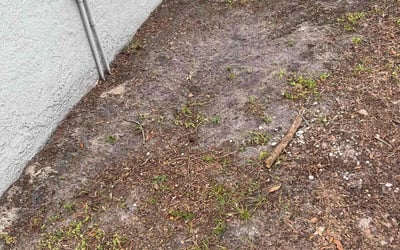 Photo of Mandeville S.'s yard after getting tree care in Panama City, FL