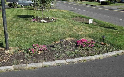 Photo of Gina K.'s yard after getting lawn care in Livingston, NJ