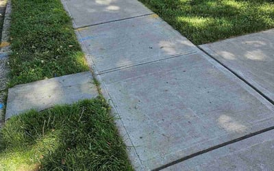 Photo of Bailey M.'s yard after getting lawn care in Hillside, NJ