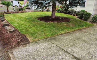 Photo of Cris P.'s yard after getting lawn care in Sandy, OR