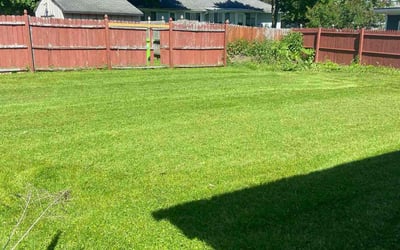 Photo of Crystal B.'s yard after getting lawn care in Cicero, NY
