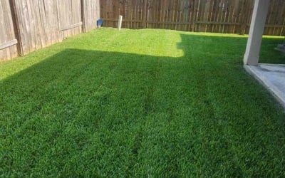Photo of Daphene C.'s yard after getting lawn care in Channelview, TX