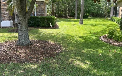Photo of Sandra I.'s yard after getting lawn care in DeSoto, TX