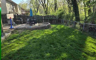 Photo of Satin W.'s yard after getting lawn care in St. Louis, MO