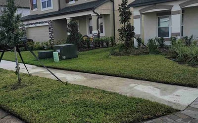 Photo of Kellie M.'s yard after getting lawn care in Woodside, NY
