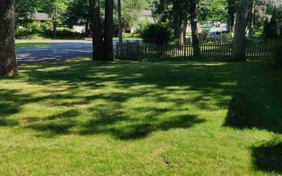 Photo of Joshua Y.'s yard after getting lawn care in Portsmouth, NH