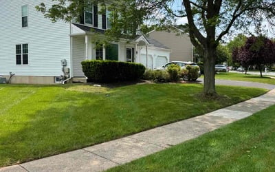 Photo of Chrissy R.'s yard after getting lawn care in Harleysville, PA
