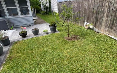 Photo of Kris S.'s yard after getting lawn care in New Milford, NJ