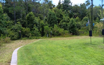 Photo of George T.'s yard after getting lawn care in Ephrata, PA