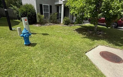 Photo of Carlos S.'s yard after getting lawn care in Lexington, SC