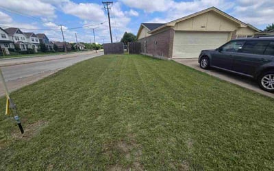 Photo of Ashley H.'s yard after getting lawn care in Lancaster, NY
