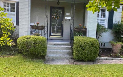 Photo of Denver Z.'s yard after getting lawn care in Beaver Falls, PA