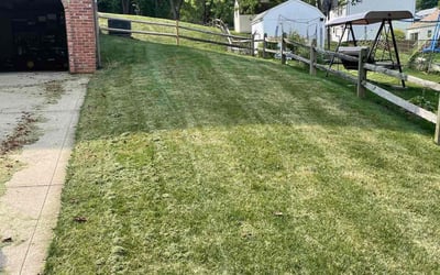 Photo of Deborah K.'s yard after getting lawn care in Imperial, PA