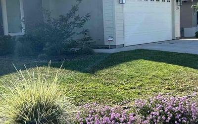 Photo of Rayna K.'s yard after getting lawn care in El Dorado Hills, CA