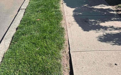 Photo of Ramon C.'s yard after getting lawn care in Rockaway, NJ