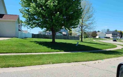 Photo of Teresa S.'s yard after getting lawn care in Holt, MI