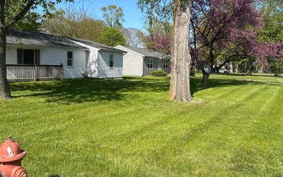 Photo of Nelson J.'s yard after getting lawn care in Bridgeport, CT