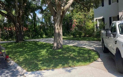 Photo of Raphael C.'s yard after getting lawn care in Petaluma, CA