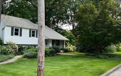 Photo of Patricia B.'s yard after getting lawn care in Hatfield, PA