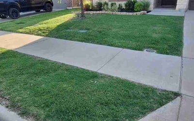 Photo of Meghan S.'s yard after getting lawn care in Union, NJ