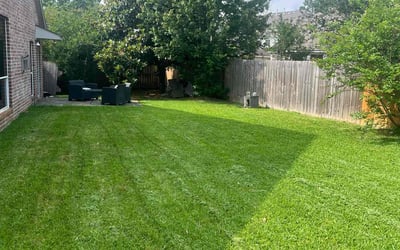 Photo of Mario M.'s yard after getting lawn care in Katy, TX