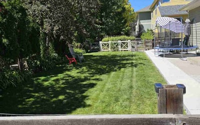 Photo of nancy b.'s yard after getting lawn care in Fort Collins, CO