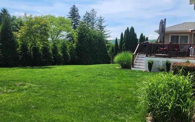 Photo of Amy W.'s yard after getting lawn care in Belmar, NJ