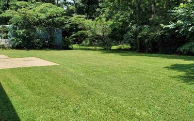 Photo of Shawn H.'s yard after getting lawn care in Gardendale, AL